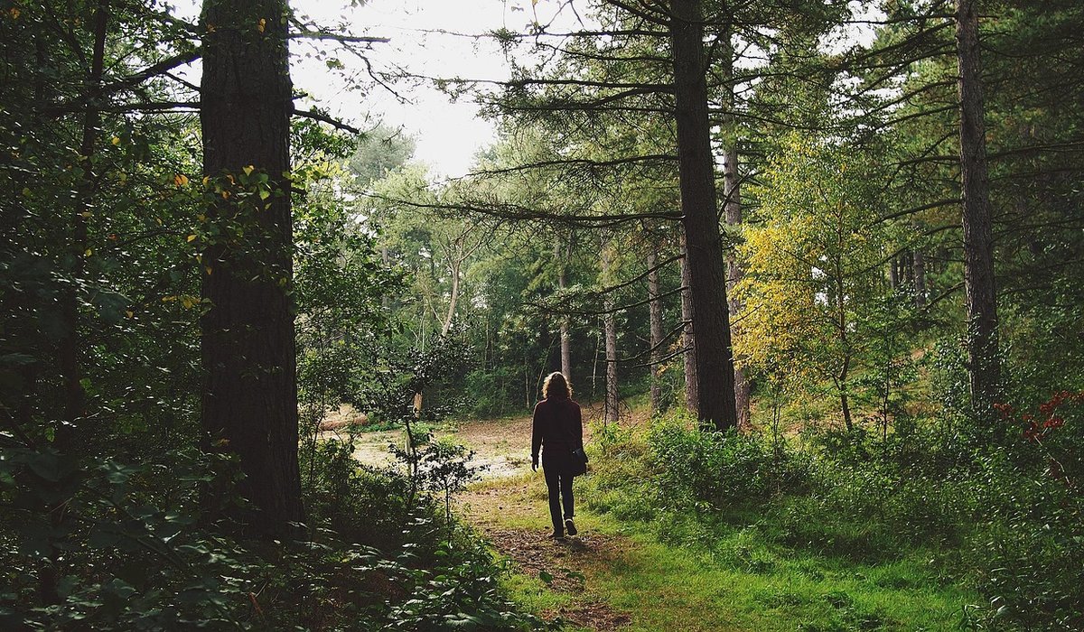 Packing a Balanced Rucksack for Long Day Walks